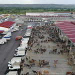 Belediyemizden Kurban Bayramı tedbirleri