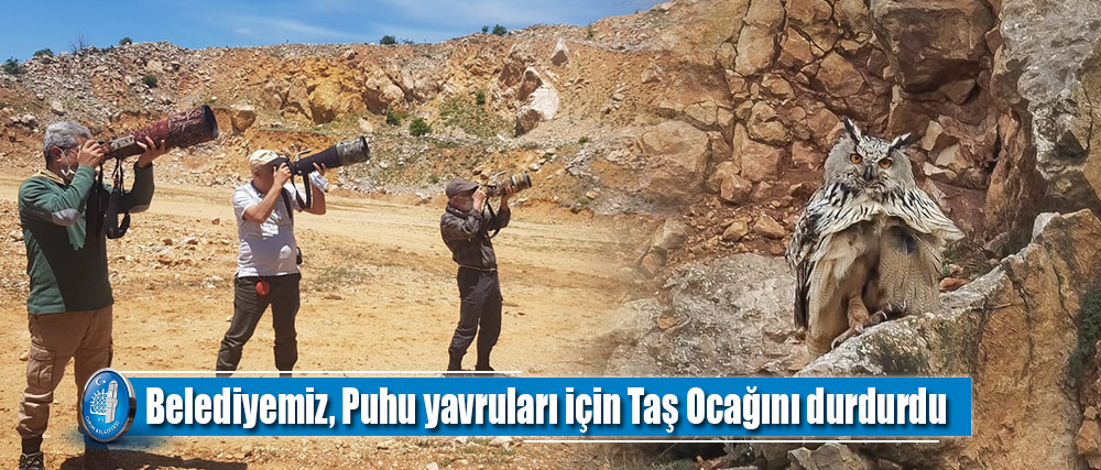 Belediyemiz, Puhu yavruları için Taş Ocağını durdurdu