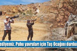 Belediyemiz, Puhu yavruları için Taş Ocağını durdurdu