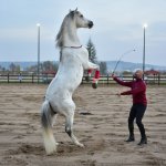 Çorum Tarihinin En Büyük Atlı Etkinliği