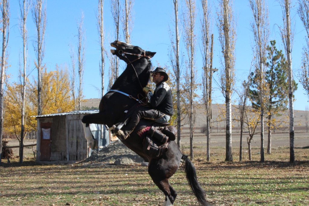 Çorum Tarihinin En Büyük Atlı Etkinliği