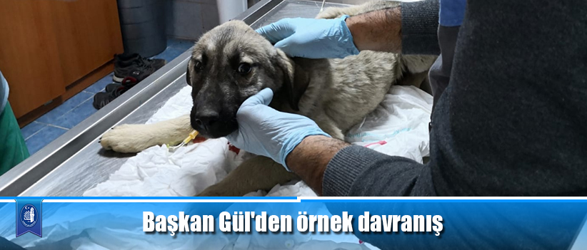 Başkan Gül'den örnek davranış