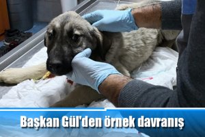 Başkan Gül'den örnek davranış
