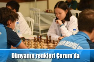 Dünyanın renkleri Çorum'da