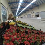 Sebze Halinde “koronavirüs” düzenlemesi