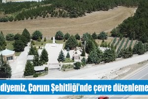 Belediyemiz, Çorum Şehitliğinde çevre düzenlemesi yapacak