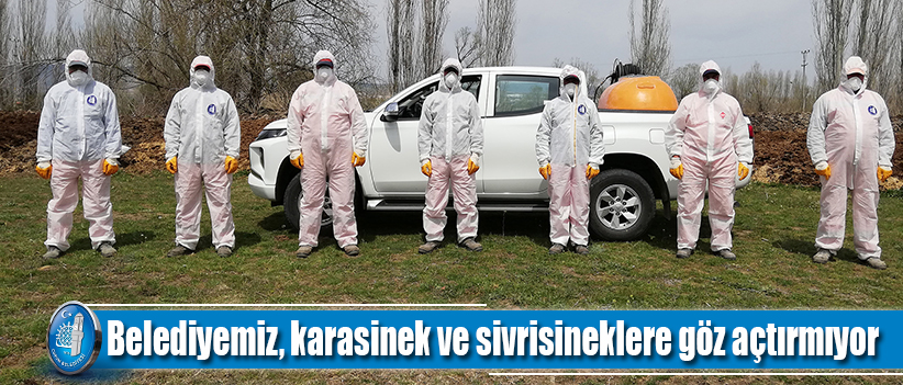 Belediyemiz, karasinek ve sivrisineklere göz açtırmıyor