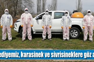 Belediyemiz, karasinek ve sivrisineklere göz açtırmıyor