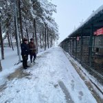 Belediyemiz, sokak hayvanlarını da unutmadı