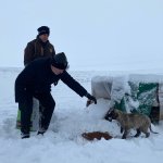 Belediyemiz, sokak hayvanlarını da unutmadı