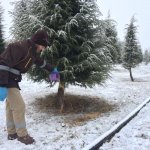 Belediyemiz hayvan dostlarıyla el ele verdi, doğaya yem bıraktı