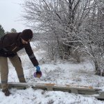 Belediyemiz hayvan dostlarıyla el ele verdi, doğaya yem bıraktı