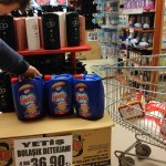 2 milyon 238 bin TL Sosyal Destek Kartı hesaplarında