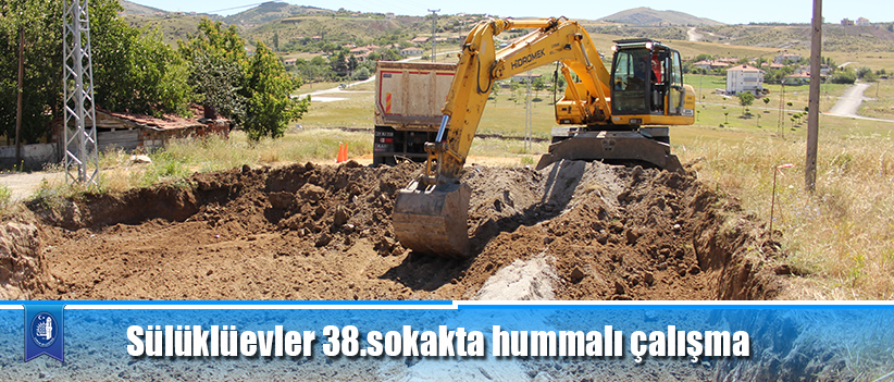 Sülüklüevler 38.sokakta hummalı çalışma
