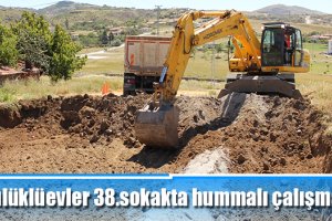 Sülüklüevler 38.sokakta hummalı çalışma