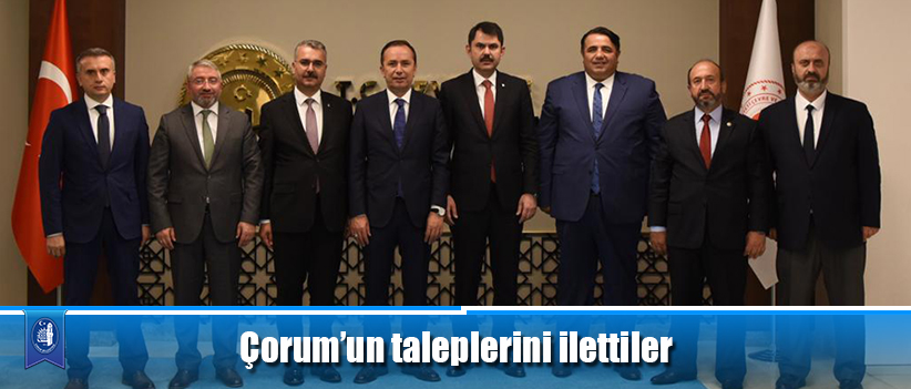 Çorum'un taleplerini ilettiler