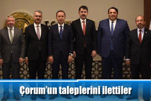 Çorum'un taleplerini ilettiler