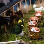 “Tam Bana Göre Festival”de Belediyemizin standına yoğun ilgi