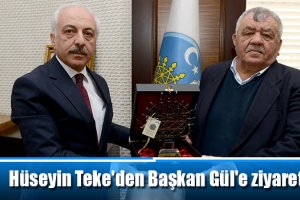 Hüseyin Teke'den Başkan Gül'e ziyaret