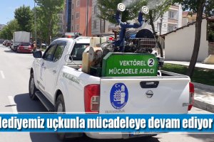 Belediyemiz uçkunla mücadeleye devam ediyor