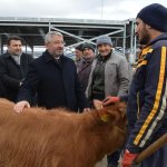 Vatandaş talep etti belediye yaptı