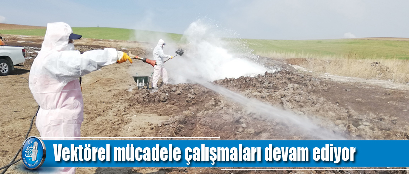 Vektörel mücadele çalışmaları devam ediyor