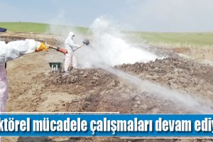Vektörel mücadele çalışmaları devam ediyor