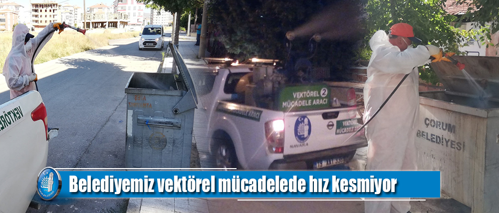 Belediyemiz vektörel mücadelede hız kesmiyor