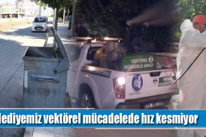 Belediyemiz vektörel mücadelede hız kesmiyor