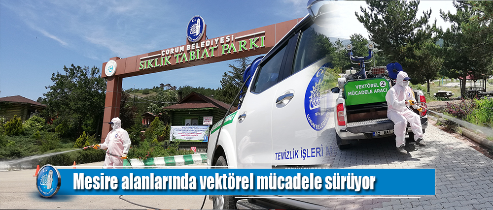 Mesire alanlarında vektörel mücadele sürüyor