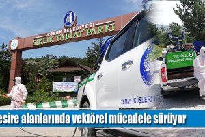 Mesire alanlarında vektörel mücadele sürüyor