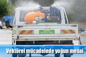Vektörel mücadelede yoğun mesai