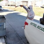 Belediyemiz vektörel mücadelede hız kesmiyor