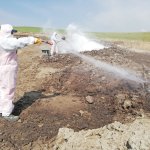 Vektörel mücadele çalışmaları devam ediyor