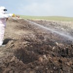 Vektörel mücadele çalışmaları devam ediyor