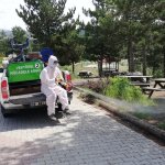 Mesire alanlarında vektörel mücadele sürüyor