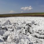 Vektörel mücadele çalışmaları devam ediyor