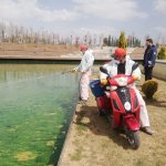 Belediyemizden etkin vektörel mücadele