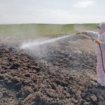 Vektörel mücadele çalışmaları devam ediyor