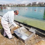 Belediyemizden etkin vektörel mücadele