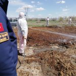 Belediyemizden etkin vektörel mücadele