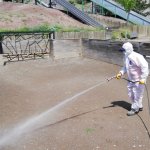 Mesire alanlarında vektörel mücadele sürüyor