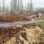 Belediyemiz vektörel mücadelede hız kesmiyor