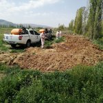 Belediyemizden etkin vektörel mücadele