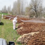 Belediyemiz vektörel mücadelede hız kesmiyor