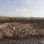 Vektörel mücadele çalışmaları devam ediyor