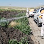 Belediyemiz, vektörel mücadelede tedbiri elden bırakmıyor
