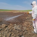 Vektörel mücadele çalışmaları devam ediyor