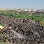 Belediyemiz, vektörel mücadelede tedbiri elden bırakmıyor