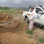 Belediyemizden etkin vektörel mücadele